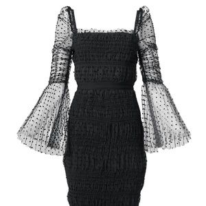 NWOT: Dotted Mesh Bodycon Dress